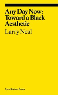 Cover image for Any Day Now: Toward a Black Aesthetic