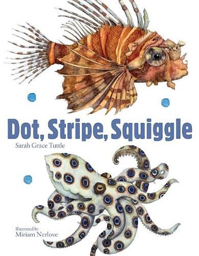 Cover image for Dot, Stripe, Squiggle