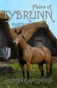 Cover image for Plains of Tybrunn