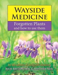 Cover image for Wayside Medicine: Forgotten Plants and how to use them