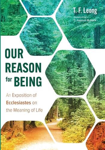 Cover image for Our Reason for Being: An Exposition of Ecclesiastes on the Meaning of Life