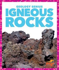 Cover image for Igneous Rocks