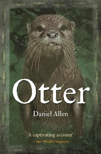 Cover image for Otter
