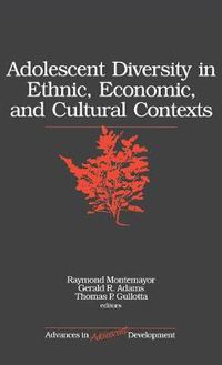 Cover image for Adolescent Diversity in Ethnic, Economic and Cultural Contexts