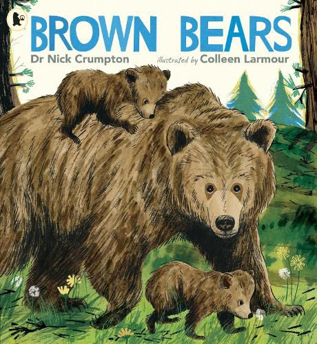 Cover image for Brown Bears