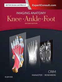 Cover image for Imaging Anatomy: Knee, Ankle, Foot