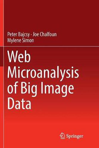 Cover image for Web Microanalysis of Big Image Data