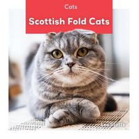 Cover image for Scottish Fold Cats