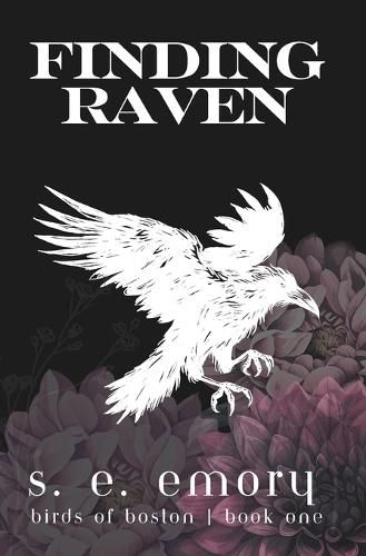 Cover image for Finding Raven