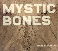 Cover image for Mystic Bones