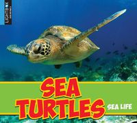 Cover image for Sea Turtles