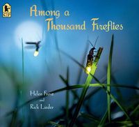 Cover image for Among a Thousand Fireflies