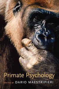 Cover image for Primate Psychology