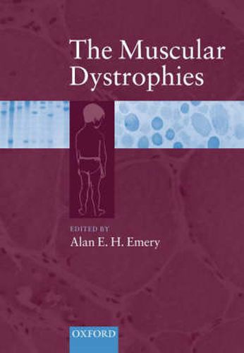 Cover image for The Muscular Dystrophies