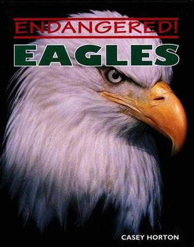 Cover image for Eagles