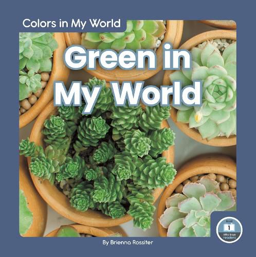 Cover image for Colors in My World: Green in My World