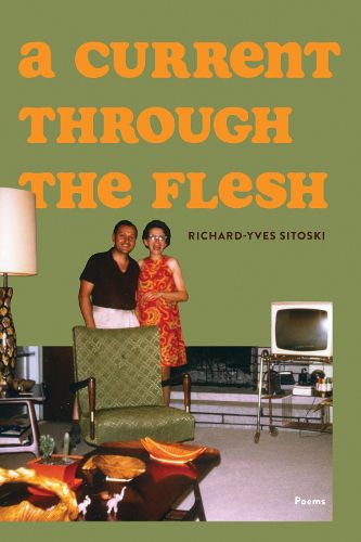 Cover image for A Current Through the Flesh