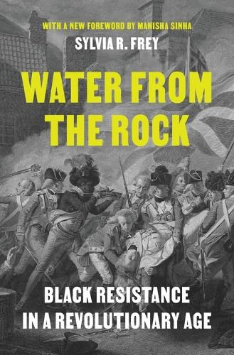 Cover image for Water from the Rock