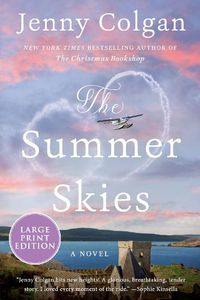 Cover image for The Summer Skies