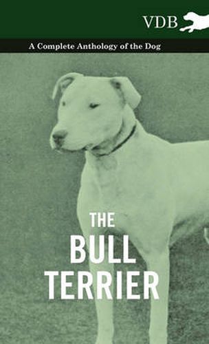 Cover image for The Bull Terrier - A Complete Anthology of the Dog -
