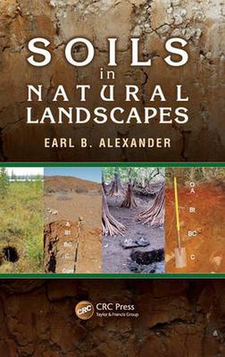 Cover image for Soils in Natural Landscapes