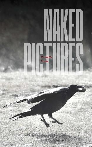 Cover image for Naked Pictures