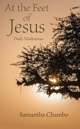 Cover image for At the Feet of Jesus: Daily Meditations