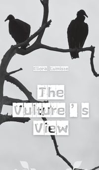 Cover image for The Vulture's View