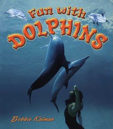 Cover image for Fun With Dolphins