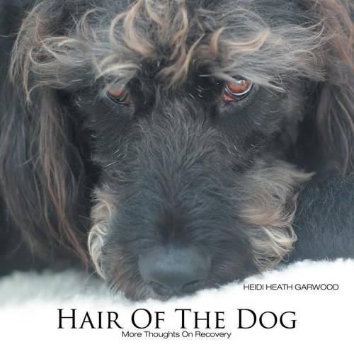 Cover image for Hair of the Dog: More Thoughts On Recovery