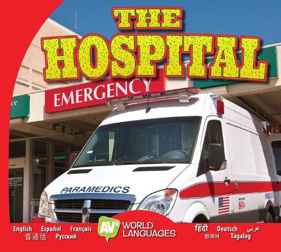 Cover image for The Hospital