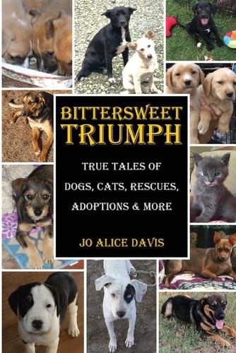 Cover image for Bittersweet Triumph