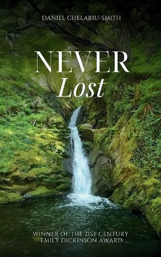 Cover image for Never Lost