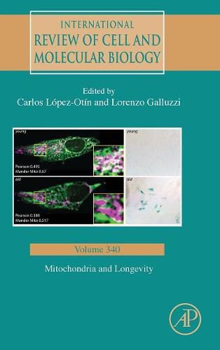 Cover image for Mitochondria and Longevity