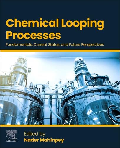 Cover image for Chemical Looping Processes
