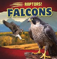 Cover image for Falcons