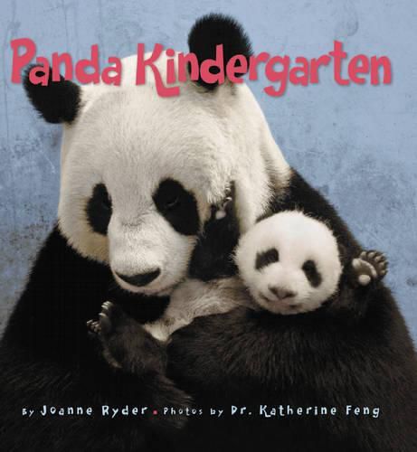 Panda Kindergarten