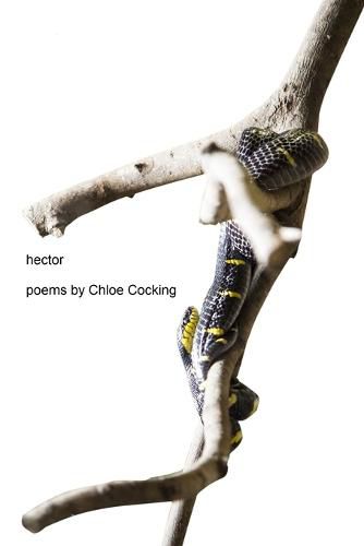 Cover image for Hector