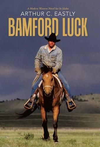 Cover image for Bamford Luck