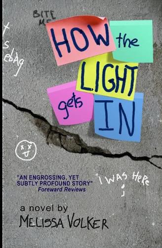 Cover image for How the Light gets In