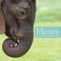 Cover image for Moses: The True Story of an Elephant Baby