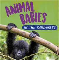 Cover image for Animal Babies: In the Rainforest