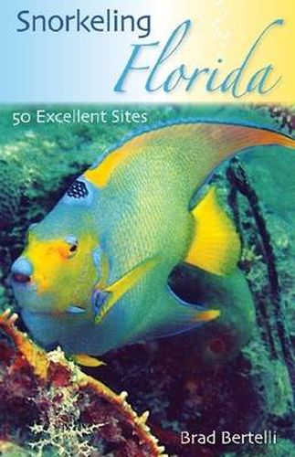 Cover image for Snorkeling Florida: 50 Excellent Sites