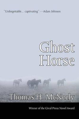 Cover image for Ghost Horse