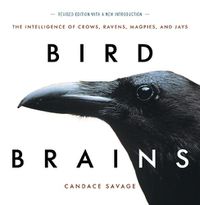 Cover image for Bird Brains: The Intelligence of Crows, Ravens, Magpies, and Jays