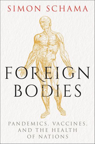 Cover image for Foreign Bodies
