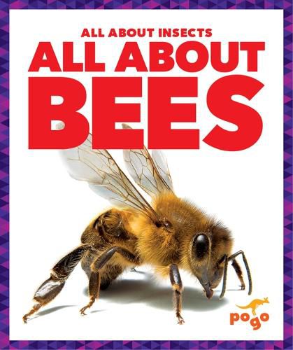 Cover image for All about Bees