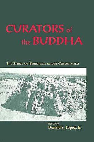 Cover image for Curators of the Buddha: Study of Buddhism Under Colonialism