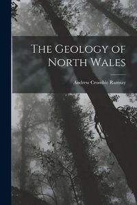 Cover image for The Geology of North Wales