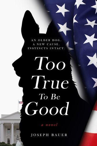 Cover image for Too True To Be Good